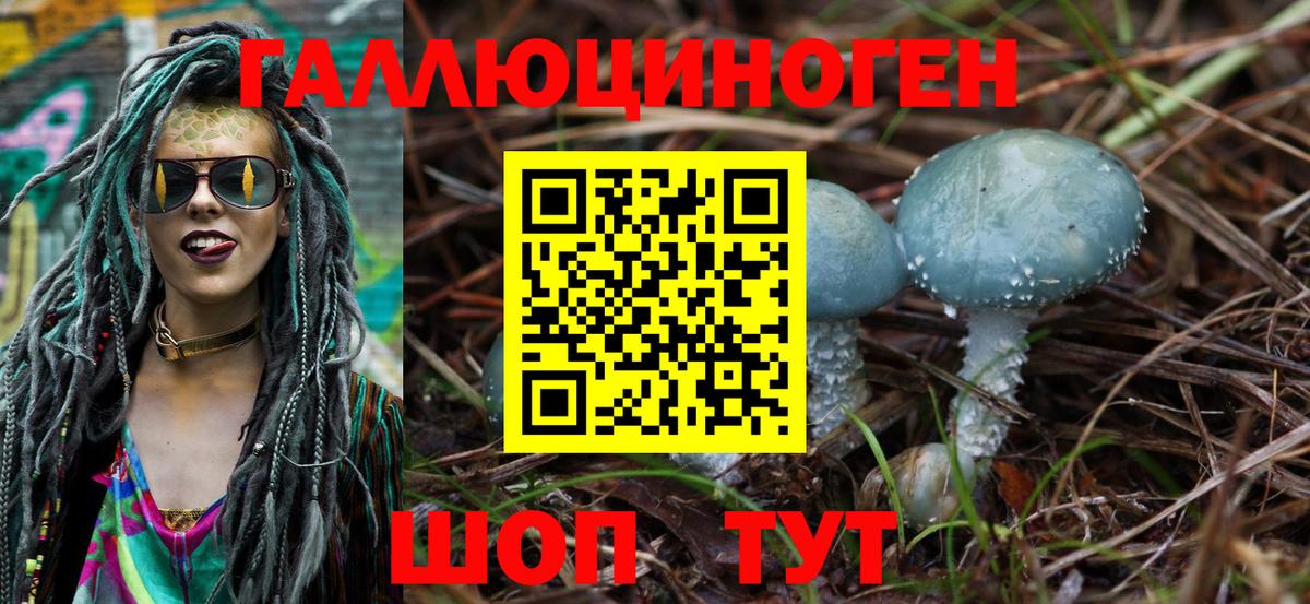 Абинск  Галлюциногенные грибы Cubensis  Вход с VPN 