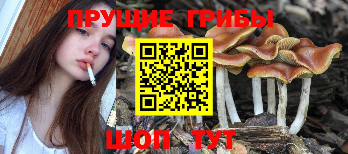 Галлюциногенные грибы мицелий Абинск